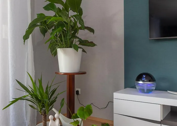 شقة Mia Frankenau